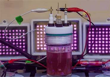 American University, Turning Purple Bacteria into a PHA Factory